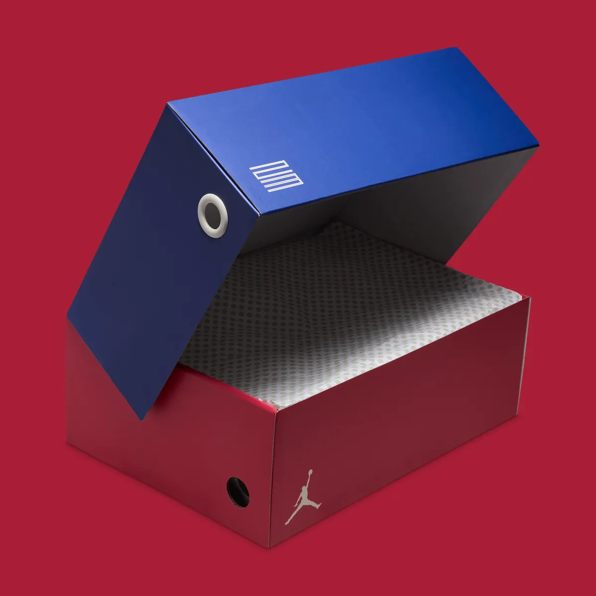 JORDAN 11 RETRO 'RARE AIR'