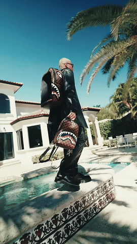 BAG IN A BAG BACKPACK