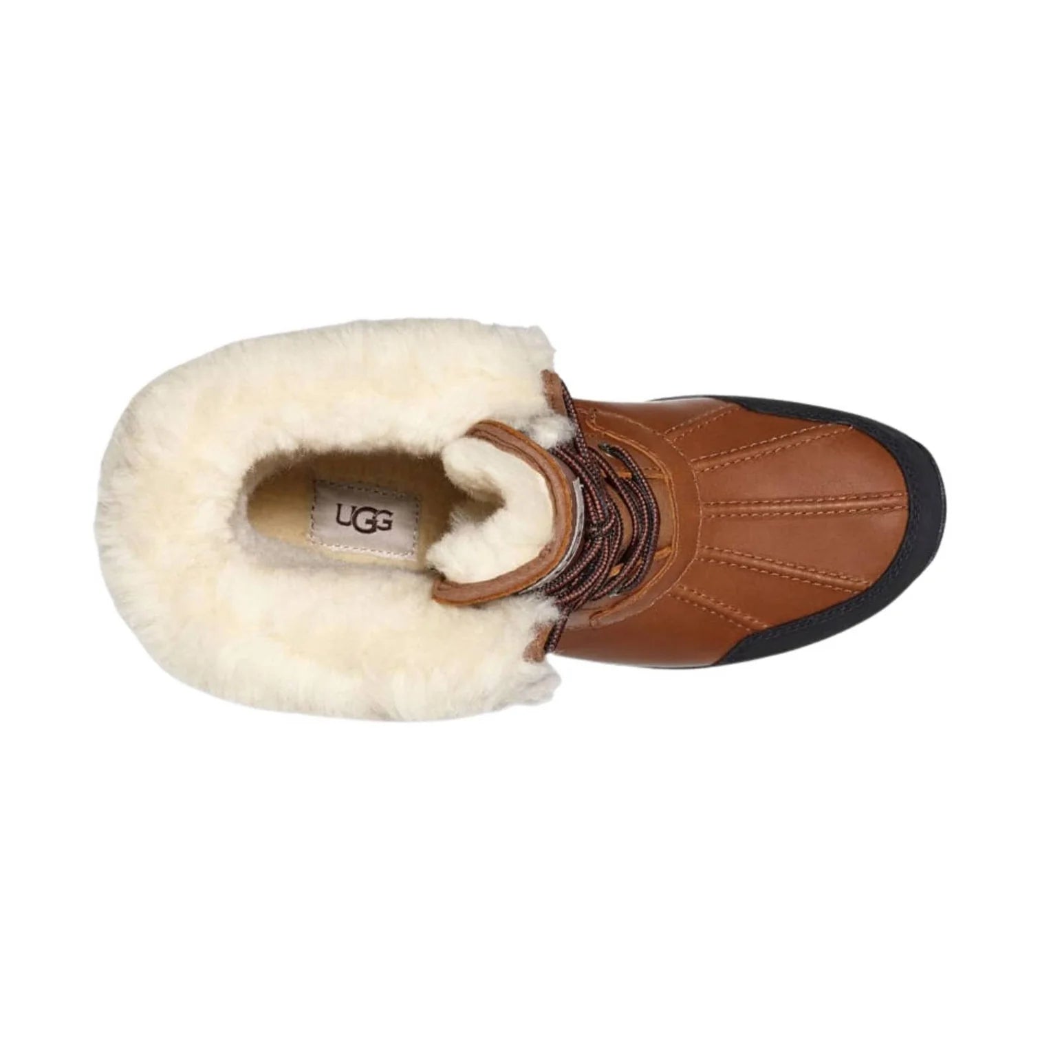 UGG MEN'S BUTTE WINTER BOOT - WORCHESTER
